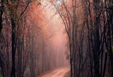 bwin注册:22/23賽季歐冠8強切爾西vs皇馬前瞻 皇馬近期狀態出色 歐冠奪冠有望?.