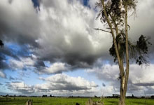 霍芬海姆主帥忙著澄清傳聞 是對球隊還是對傳聞更上心.