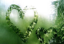 21/22賽季歐冠聯賽切爾西陣容.