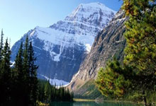 阿森納砸6000萬鎊引進詹姆斯-麥迪遜.